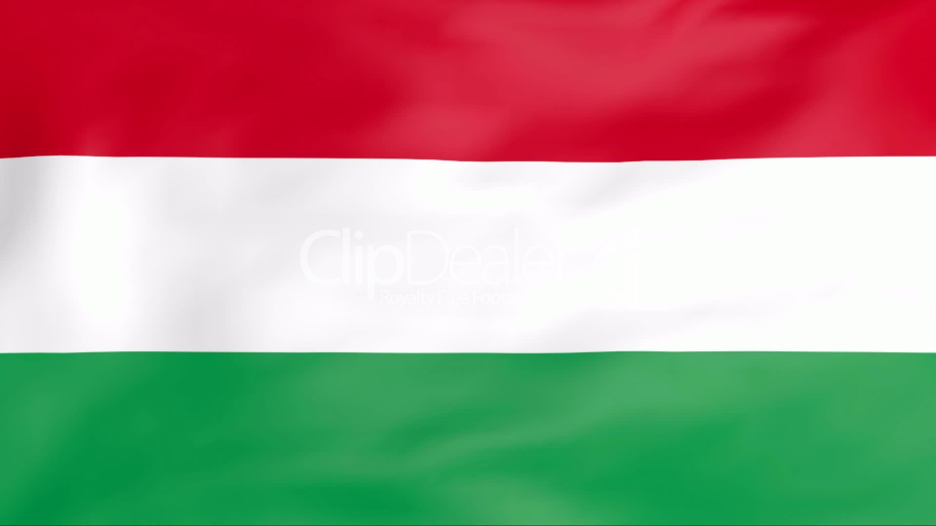 Flag Of Hungary: Royalty-free video and stock footage